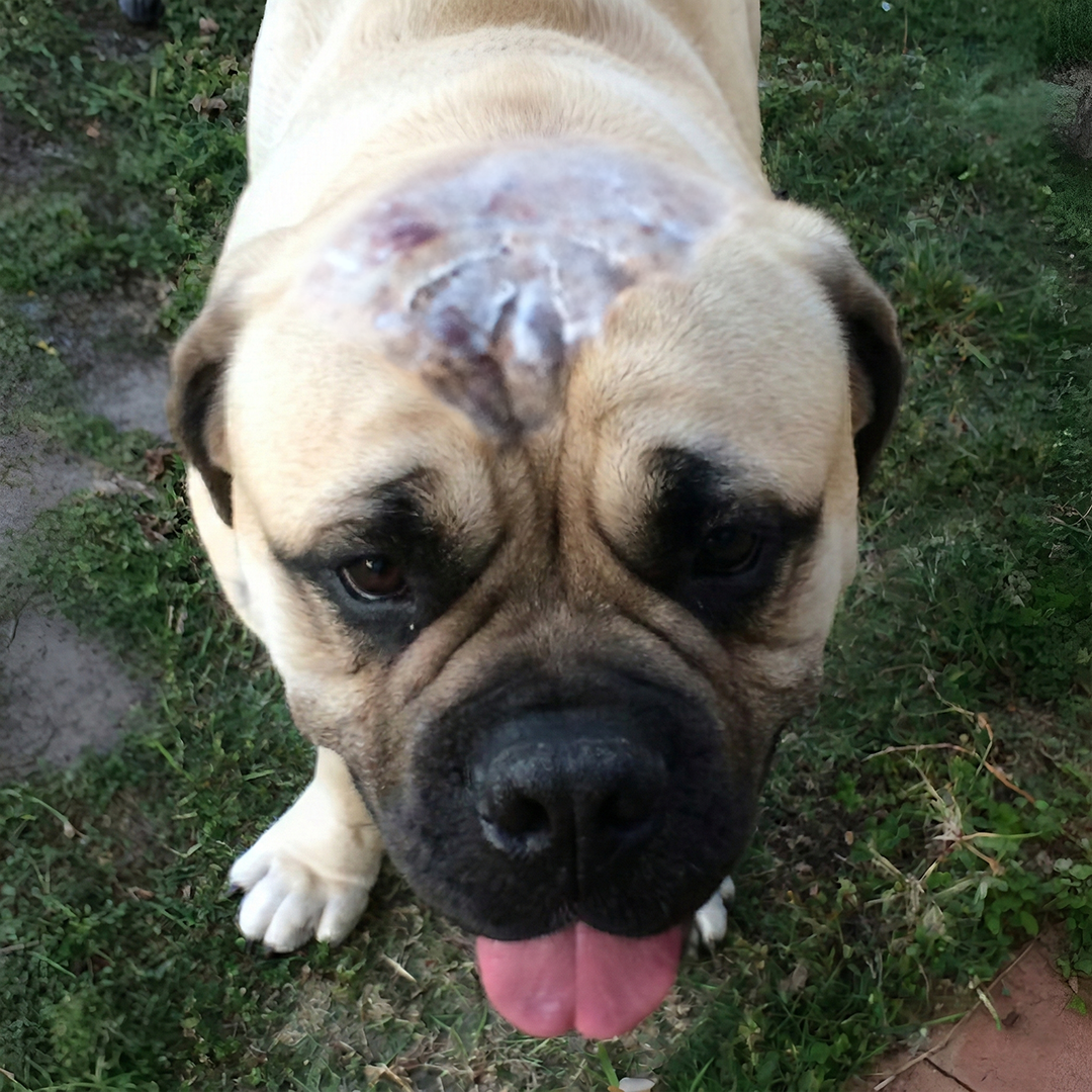 image comparison before