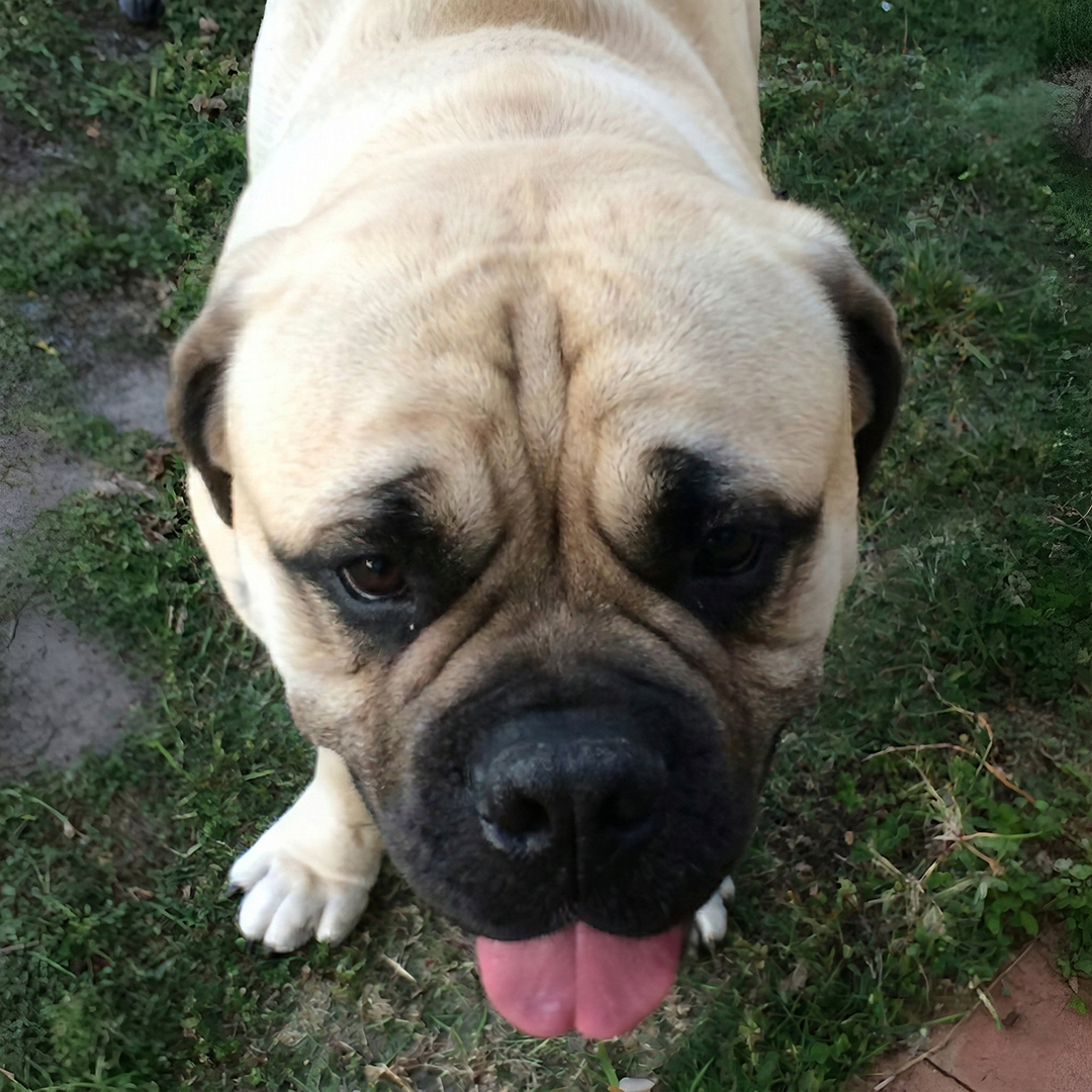 image comparison after