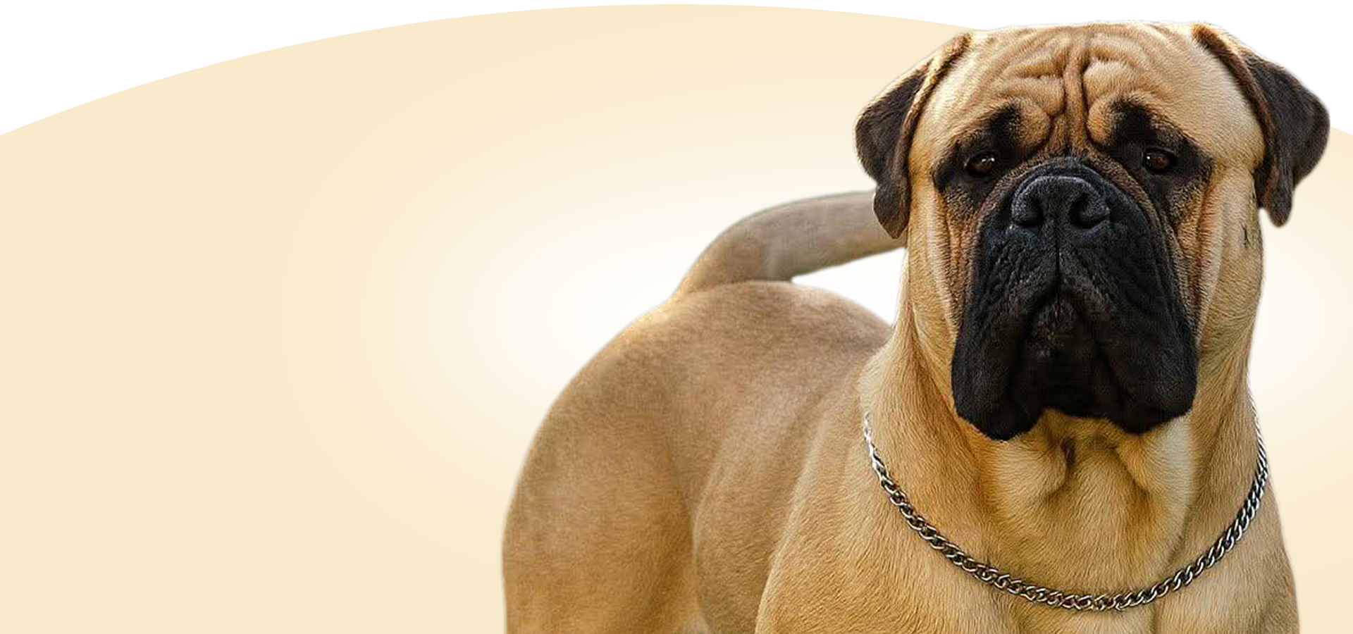 slider image 1621243260e1af0c20-2